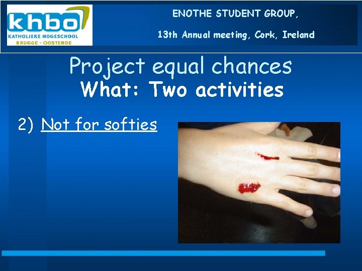 ENOTHE STUDENT GROUP, 13 th Annual meeting, Cork, Ireland Project equal chances What: Two