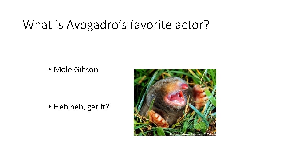 What is Avogadro’s favorite actor? • Mole Gibson • Heh heh, get it? 
