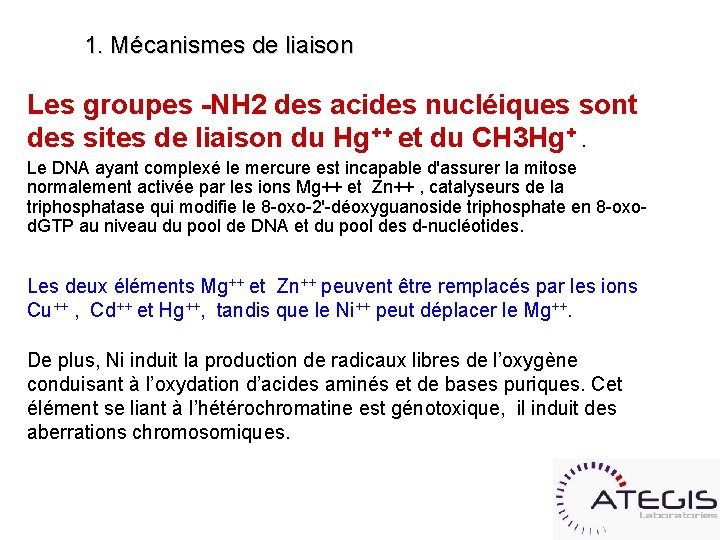 1. Mécanismes de liaison Les groupes -NH 2 des acides nucléiques sont des sites