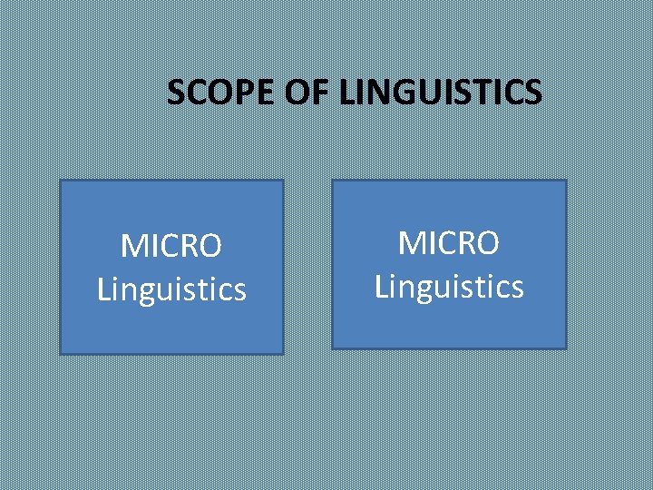 SCOPE OF LINGUISTICS MICRO Linguistics 