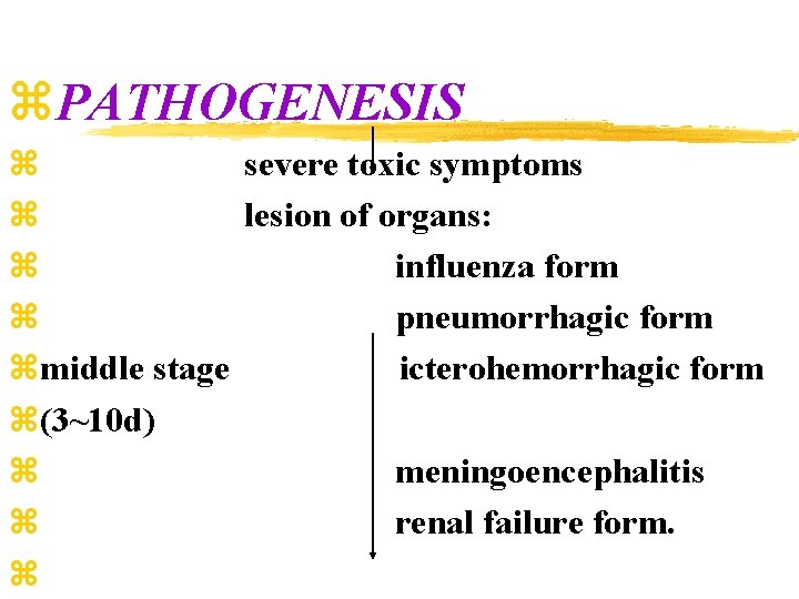 z. PATHOGENESIS z severe toxic symptoms z lesion of organs: z influenza form z