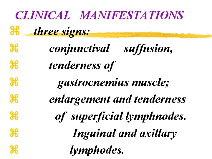 CLINICAL MANIFESTATIONS z three signs: z conjunctival suffusion, z tenderness of z gastrocnemius muscle;