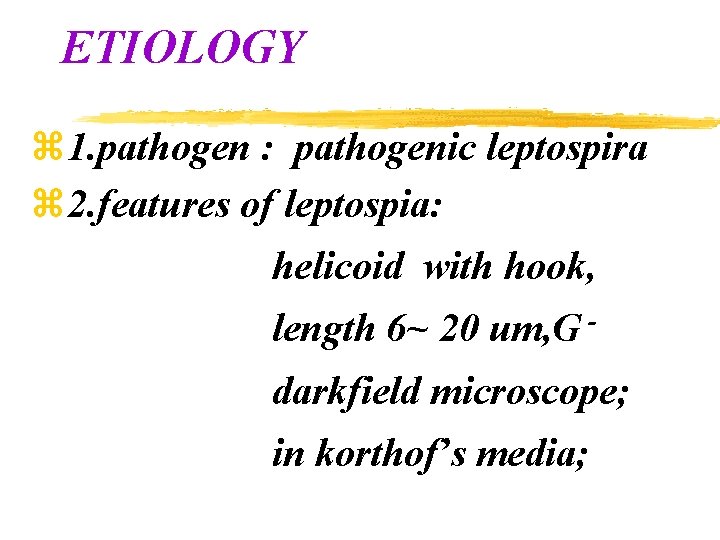 ETIOLOGY z 1. pathogen : pathogenic leptospira z 2. features of leptospia: helicoid with