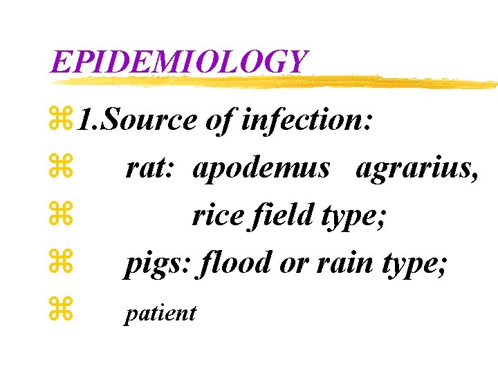 EPIDEMIOLOGY z 1. Source of infection: z rat: apodemus agrarius, z rice field type;