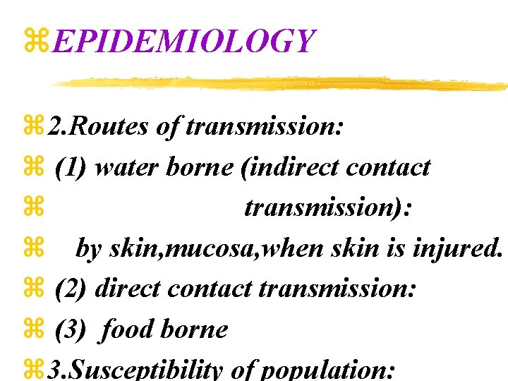 z. EPIDEMIOLOGY z 2. Routes of transmission: z (1) water borne (indirect contact z