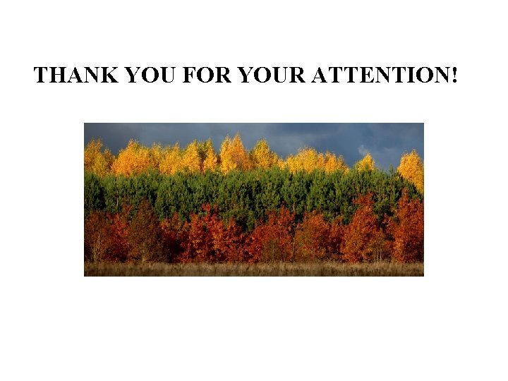 THANK YOU FOR YOUR ATTENTION! 