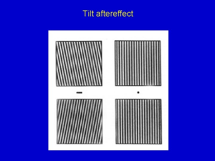 Tilt aftereffect 