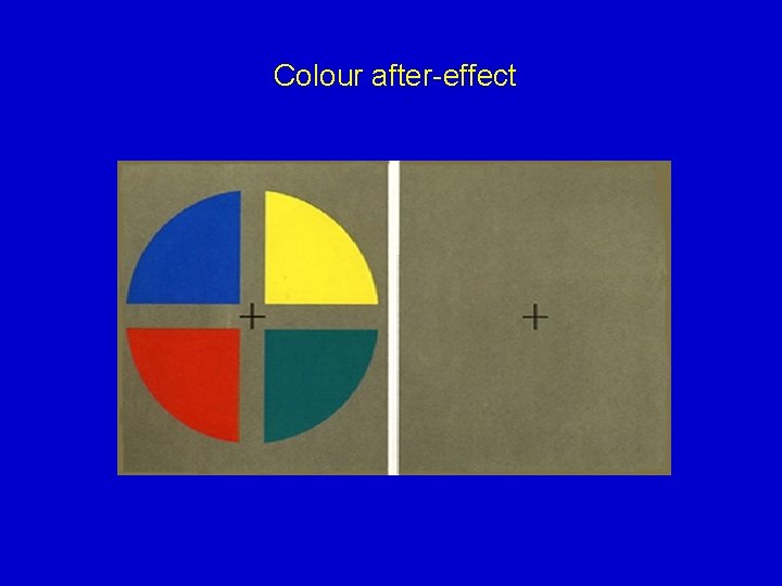 Colour after-effect 