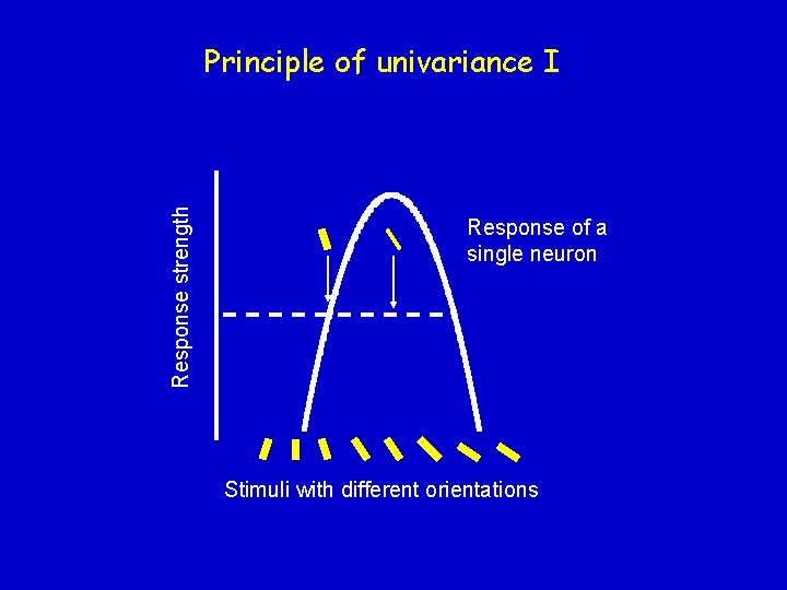 Response strength Principle of univariance I Response of a single neuron Stimuli with different