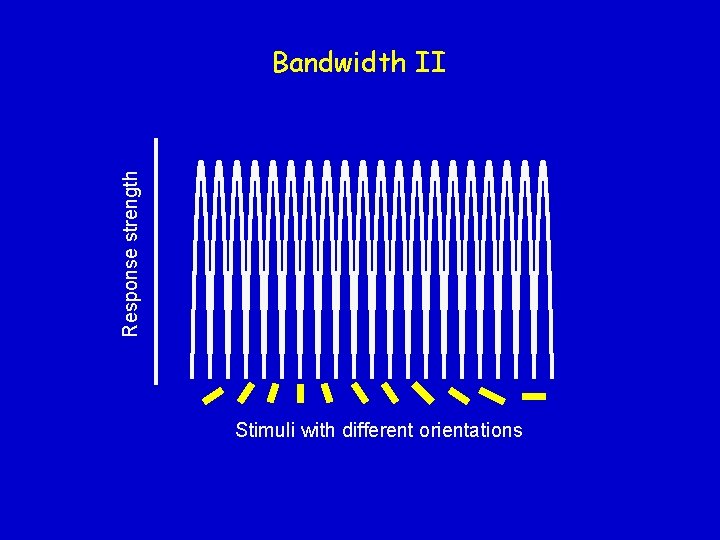 Response strength Bandwidth II Stimuli with different orientations 