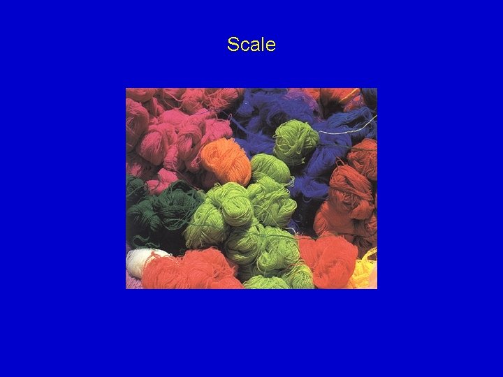 Scale 