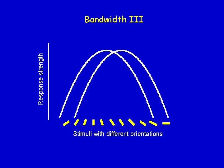 Response strength Bandwidth III Stimuli with different orientations 