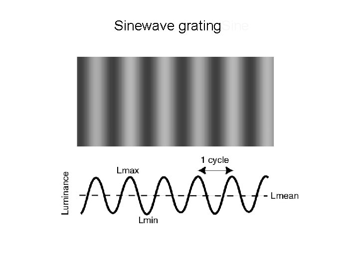 Sinewave grating. Sine 