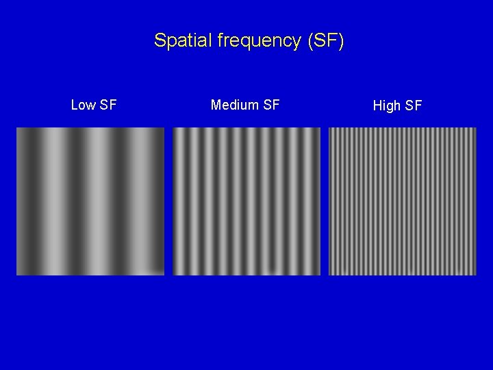 Spatial frequency (SF) Low SF Medium SF High SF 