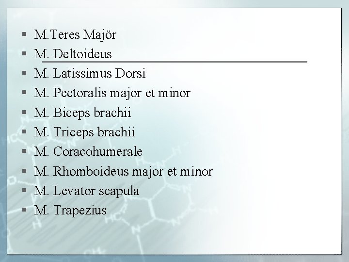 § § § § § M. Teres Majör M. Deltoideus M. Latissimus Dorsi M.