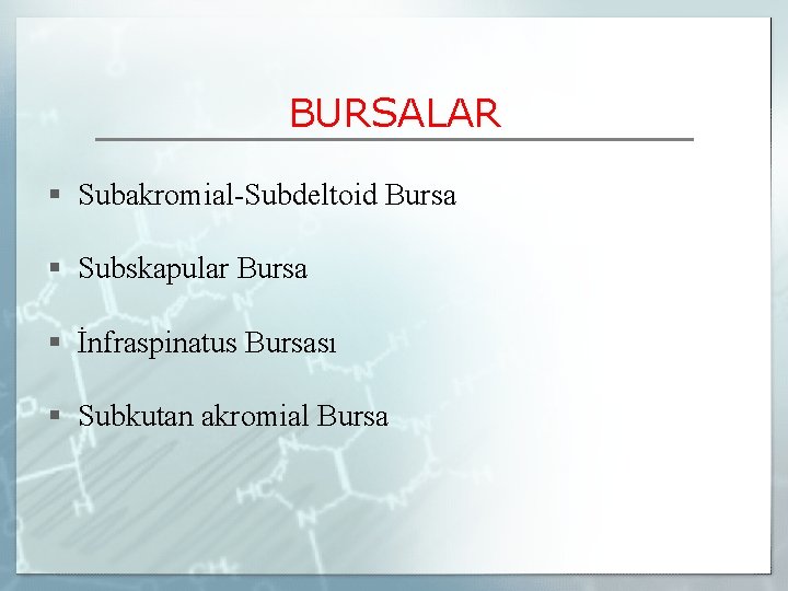 BURSALAR § Subakromial-Subdeltoid Bursa § Subskapular Bursa § İnfraspinatus Bursası § Subkutan akromial Bursa