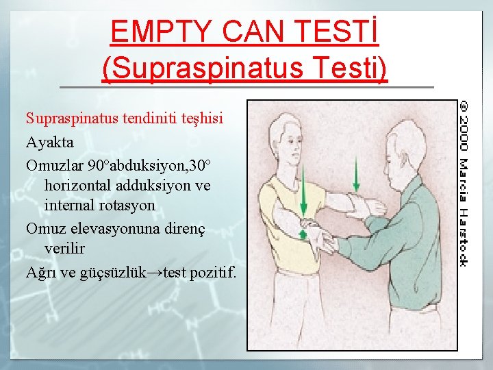 EMPTY CAN TESTİ (Supraspinatus Testi) Supraspinatus tendiniti teşhisi Ayakta Omuzlar 90ºabduksiyon, 30º horizontal adduksiyon