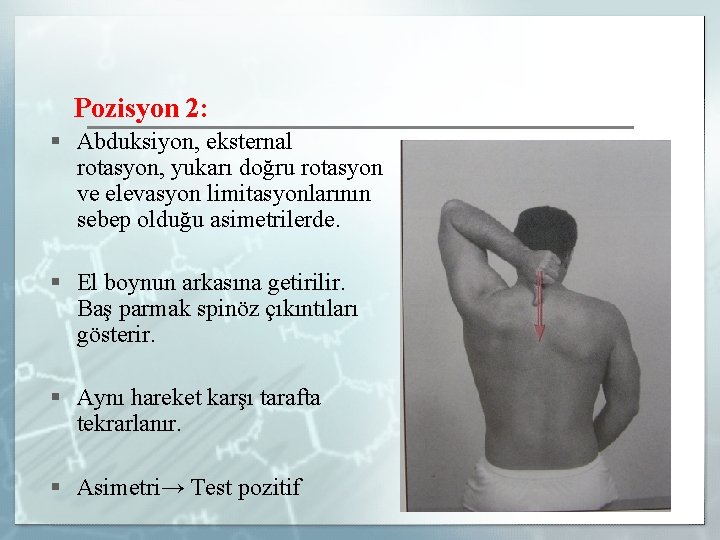 Pozisyon 2: § Abduksiyon, eksternal rotasyon, yukarı doğru rotasyon ve elevasyon limitasyonlarının sebep olduğu