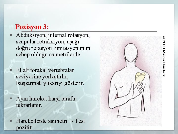 Pozisyon 3: § Abduksiyon, internal rotasyon, scapular retraksiyon, aşağı doğru rotasyon limitasyonunun sebep olduğu