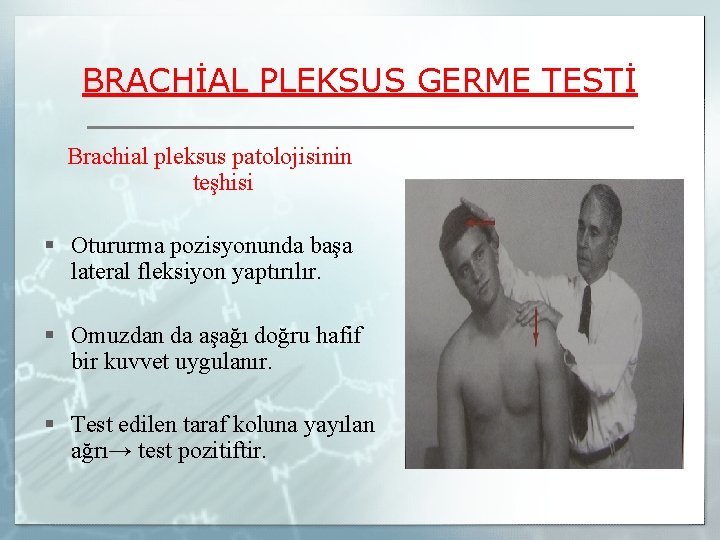 BRACHİAL PLEKSUS GERME TESTİ Brachial pleksus patolojisinin teşhisi § Otururma pozisyonunda başa lateral fleksiyon