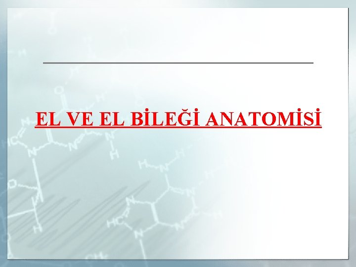 EL VE EL BİLEĞİ ANATOMİSİ 