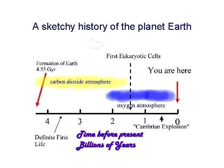 A sketchy history of the planet Earth 