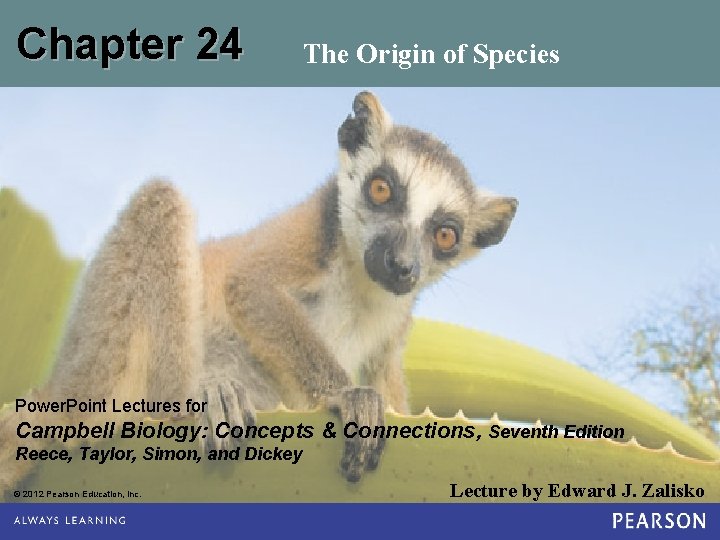 Chapter 24 The Origin of Species Power. Point Lectures for Campbell Biology: Concepts &