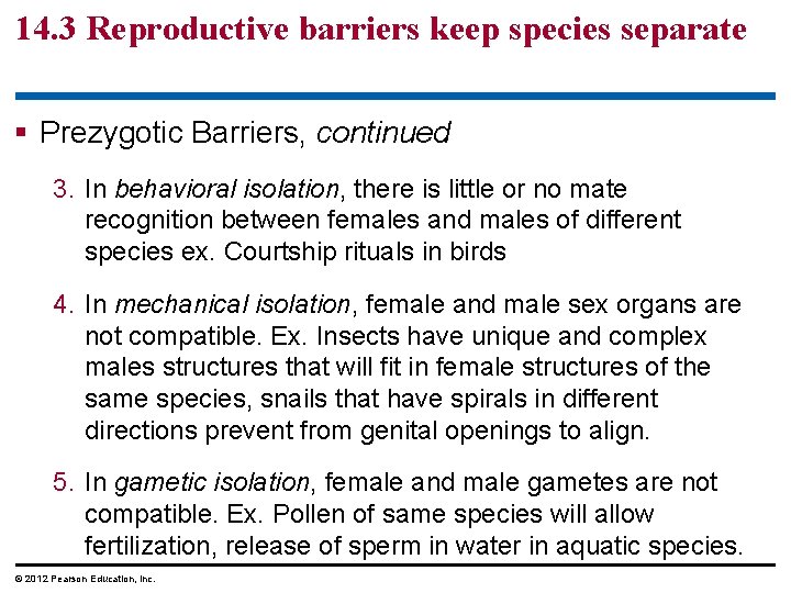 14. 3 Reproductive barriers keep species separate § Prezygotic Barriers, continued 3. In behavioral