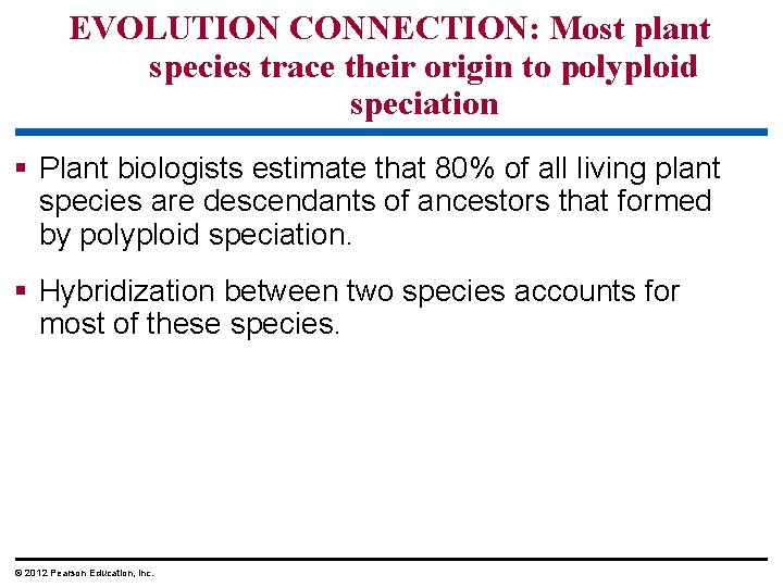 EVOLUTION CONNECTION: Most plant species trace their origin to polyploid speciation § Plant biologists