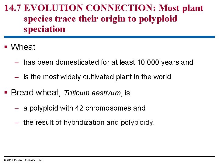 14. 7 EVOLUTION CONNECTION: Most plant species trace their origin to polyploid speciation §