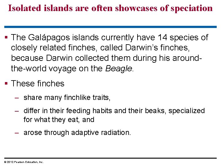 Isolated islands are often showcases of speciation § The Galápagos islands currently have 14