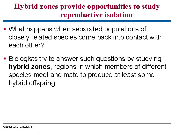 Hybrid zones provide opportunities to study reproductive isolation § What happens when separated populations