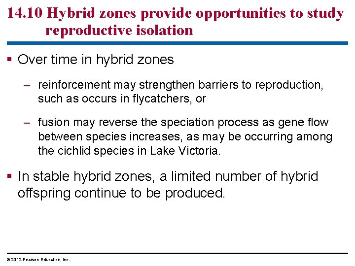 14. 10 Hybrid zones provide opportunities to study reproductive isolation § Over time in