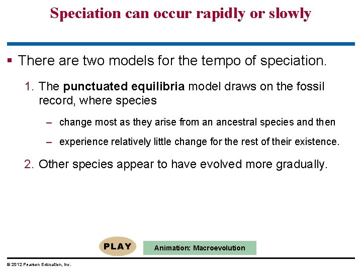 Speciation can occur rapidly or slowly § There are two models for the tempo