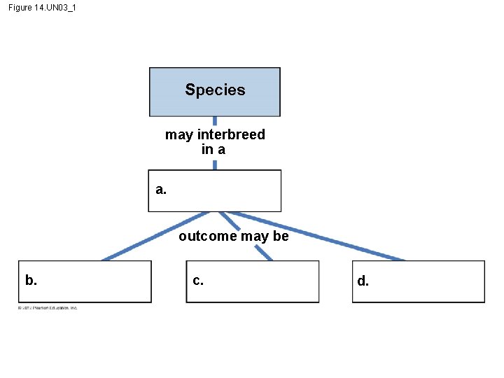 Figure 14. UN 03_1 Species may interbreed in a a. outcome may be b.