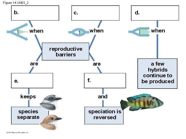 Figure 14. UN 03_2 b. c. when d. when are a few hybrids continue