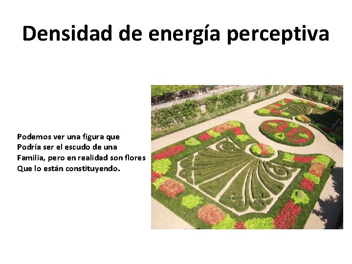 Densidad de energía perceptiva Podemos ver una figura que Podría ser el escudo de