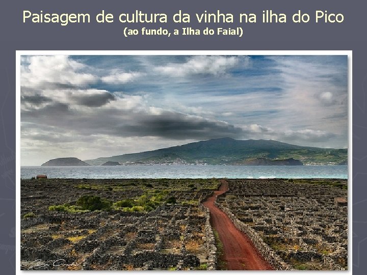 Paisagem de cultura da vinha na ilha do Pico (ao fundo, a Ilha do