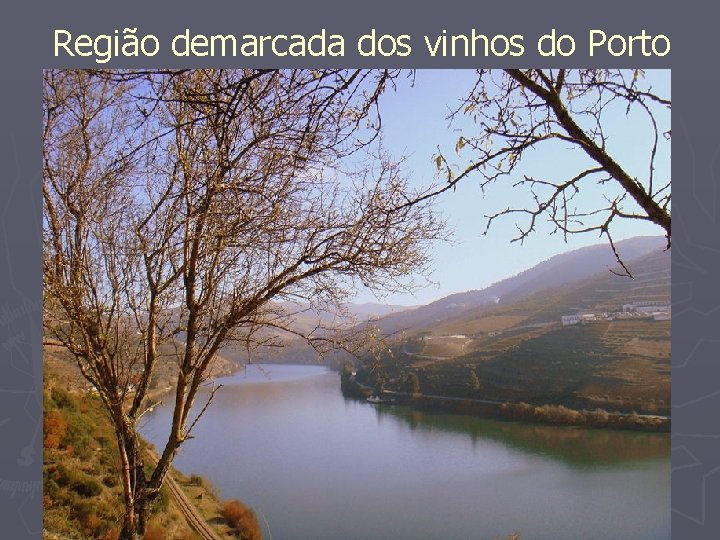 Região demarcada dos vinhos do Porto 