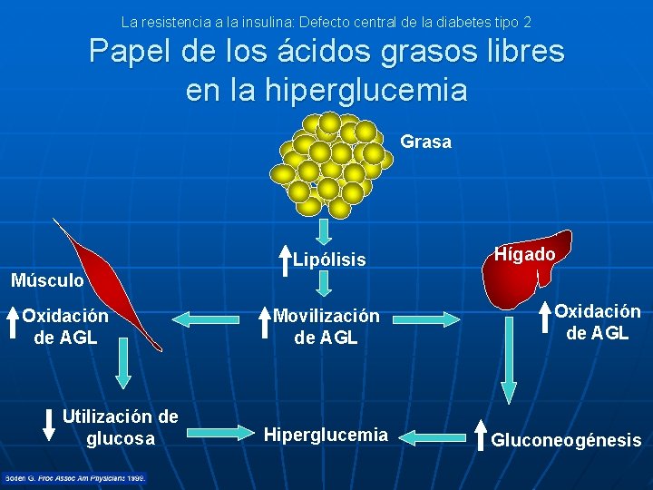 La resistencia a la insulina: Defecto central de la diabetes tipo 2 Papel de