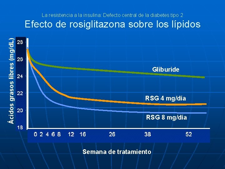 La resistencia a la insulina: Defecto central de la diabetes tipo 2 Ácidos grasos