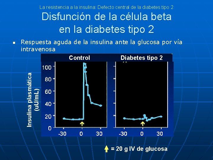 La resistencia a la insulina: Defecto central de la diabetes tipo 2 Disfunción de