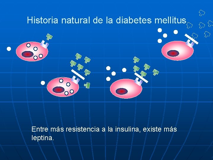 Historia natural de la diabetes mellitus Entre más resistencia a la insulina, existe más