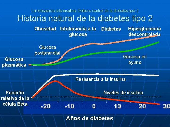 La resistencia a la insulina: Defecto central de la diabetes tipo 2 Historia natural
