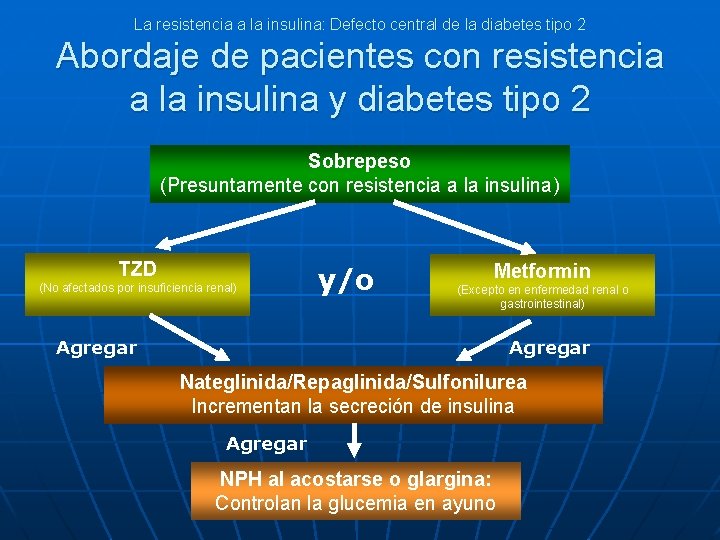 La resistencia a la insulina: Defecto central de la diabetes tipo 2 Abordaje de