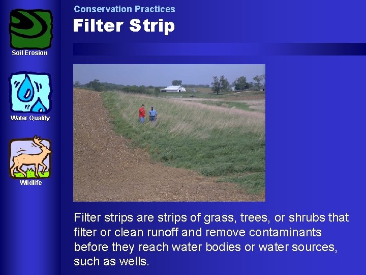 Conservation Practices Filter Strip Soil Erosion Water Quality Wildlife Filter strips are strips of