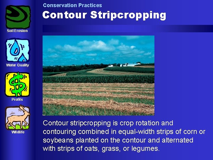 Conservation Practices Contour Stripcropping Soil Erosion Water Quality Profits Wildlife Contour stripcropping is crop