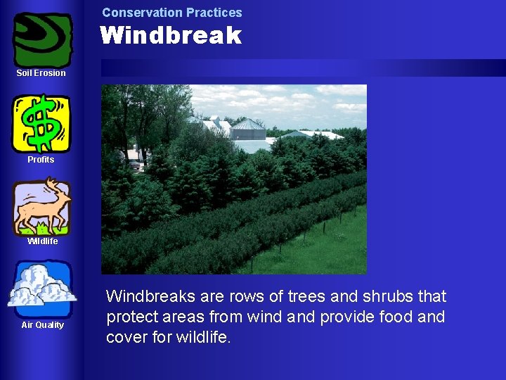 Conservation Practices Windbreak Soil Erosion Profits Wildlife Air Quality Windbreaks are rows of trees