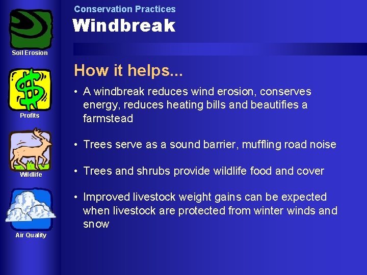 Conservation Practices Windbreak Soil Erosion How it helps. . . Profits • A windbreak