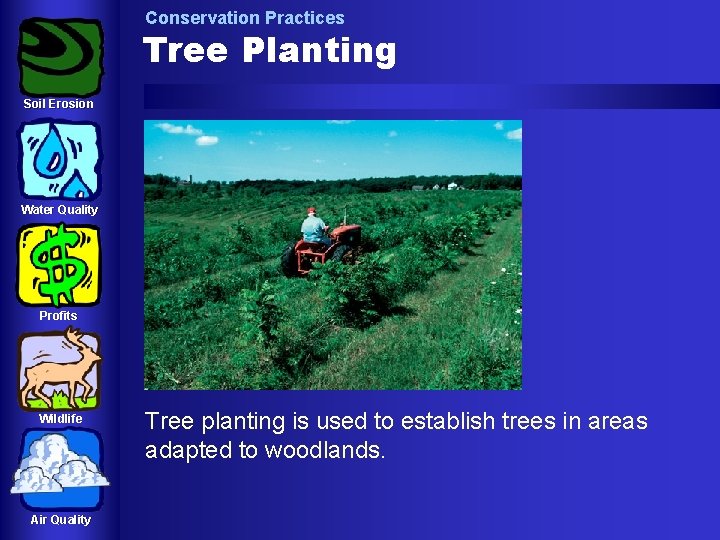Conservation Practices Tree Planting Soil Erosion Water Quality Profits Wildlife Air Quality Tree planting